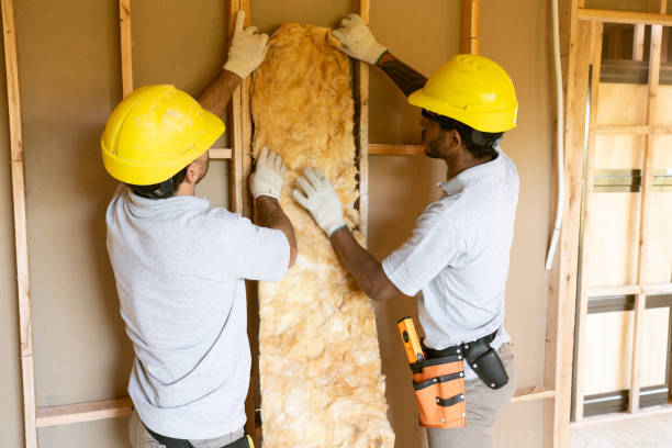 Best Insulation for New Construction  in Manchaca, TX